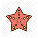 Starfish Fish Sea Creature Icon
