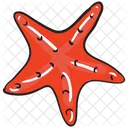 Starfish Seafood Echinoderm Icon