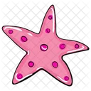 Starfish Sea Star Sea Creature Icon