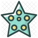 Starfish Sea Ocean Icon
