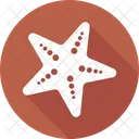 Starfish Animal Star Icon