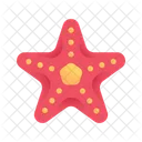 Starfish Nature Animal Icon