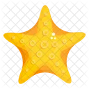 Starfish Sea Star Sea Creature Icône