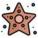 Star Fish Starfish Icon
