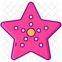 Starfish Icon