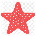 Starfish Sea Star Sea Creature Icon