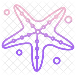 Starfish  Icon