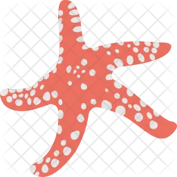 Starfish  Icon