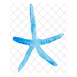 Starfish  Icon