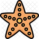 Starfish Sea Fish Icon