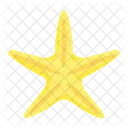 Starfish Star Animal Icon