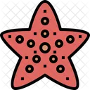 Starfish  Icon