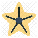 Starfish  Icon