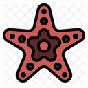 Starfish  Icon