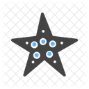 Starfish Icon