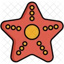 Starfish  Icon