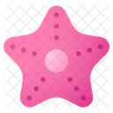 Starfish Sea Star Sea Animal Icon