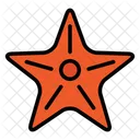 Starfish  Icon