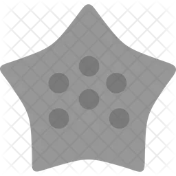 Starfish  Icon