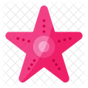 Starfish Summer Holidays Starfishes Icon