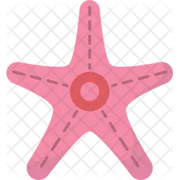 Starfish  Icon