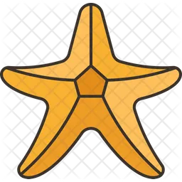 Starfish  Icon