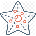 Starfish  Icon