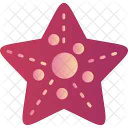 Starfish  Icon