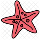 Starfish  Icon