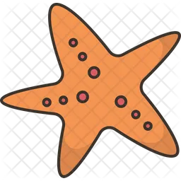 Starfish  Icon