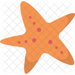 Starfish  Icon