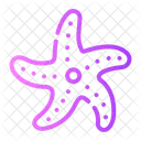 Starfish  Icon