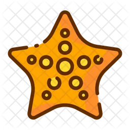 Starfish  Icon