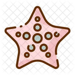 Starfish  Icon