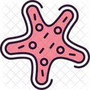 Starfish  Icon