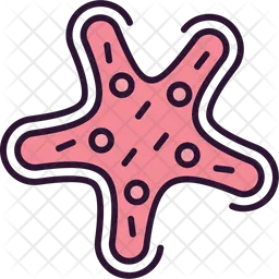 Starfish  Icon