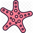 Starfish  Icon