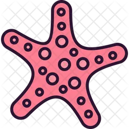 Starfish  Icon