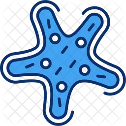 Starfish  Icon