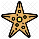 Starfish  Icon