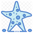 Starfish  Icon