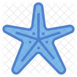 Starfish  Icon