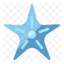 Starfish Beach Animal Icon
