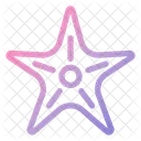 Starfish Beach Animal Icon