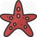 Starfish Fauna Invertebrate Icon