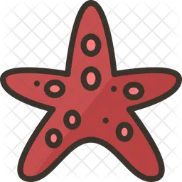 Starfish  Icon