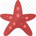 Starfish Fauna Invertebrate Icon