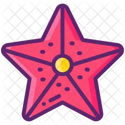 Starfish  Icon