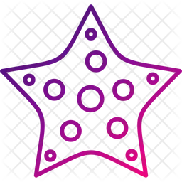 Starfish  Icon