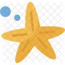 Starfish Mollusk Beach Icon